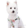 Haustier Springduft inspiriert florale Sublimation Hundekabelbaum